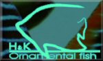 H & K Ornamental Fish