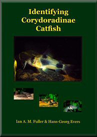 catfish #catfishing #scam #jennyballot Part 28